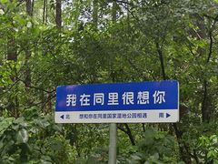 -同里国家湿地公园