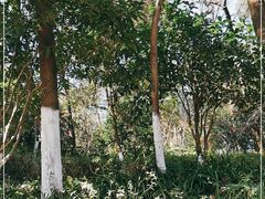 -杭州半山国家森林公园