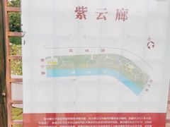 -嘉定紫藤园