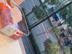 -杨氏青龙虾·羊蝎子(珠江路店)