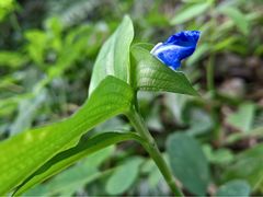 -会稽山峡洞漂流-上青古道