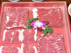 -前门杨记·铜锅涮肉(王府井·故宫店)