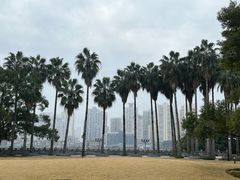 -江心屿景区