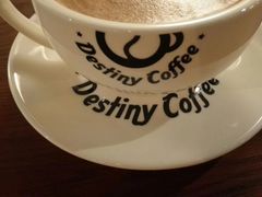 -命运咖啡馆Destiny Coffee