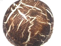 -松雅轩(大源店)