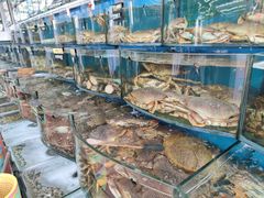 水产区-渔中舟海鲜大排档(普陀沈家门店)