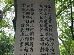 -上海佘山国家森林公园天马山园