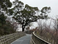 -福道