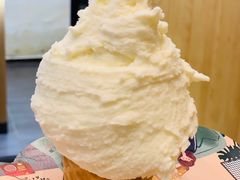 -野人先生现做冰淇淋(北京环宇荟店)