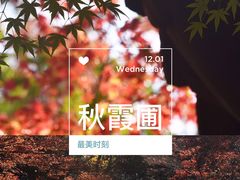 -秋霞圃