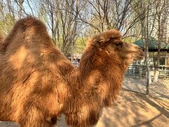 -长白岛森林公园