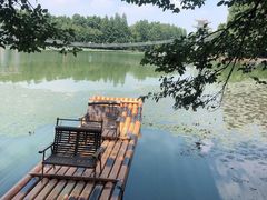 -东湖落雁景区
