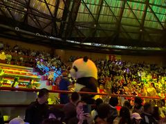 -俄罗斯国家大马戏团