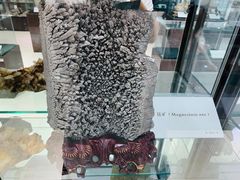 -中国第四纪冰川遗迹陈列馆