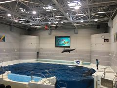 -鹿儿岛水族馆
