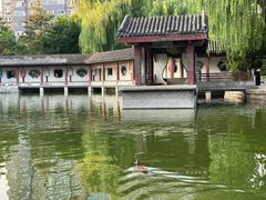 -团结湖公园