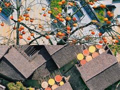 -篁岭景区
