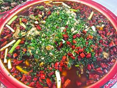 来凤鱼-东吴霸王兔(松青路店)