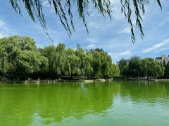 -团结湖公园