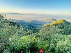 -泰山风景名胜区