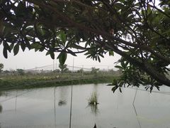 -塘栖枇杷特色园区