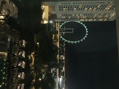 新加坡文华东方酒店-新加坡文华东方酒店