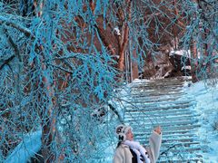 -叠溪松坪沟景区