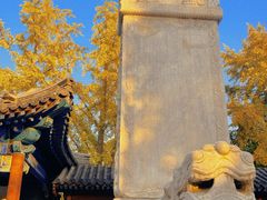 -北京石刻艺术博物馆(五塔寺)