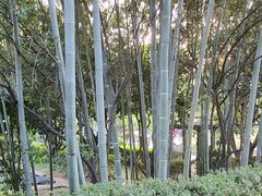 -故乡缘·香格里拉山庄(冷竹路店)
