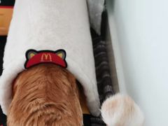 -麦当劳(燕顺路店)