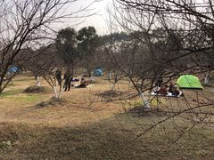 -秀丽东方