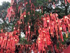 -国恩寺