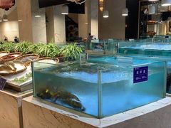 水产区-旺顺阁海鲜广场(亚运村店)