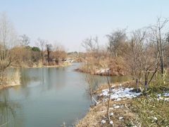 -梁鸿国家湿地公园