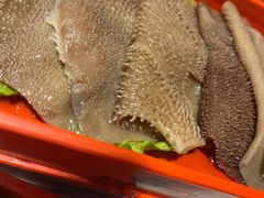 -老马路串串香火锅(北门桥店)