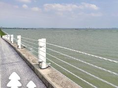 -贡湖湾湿地公园