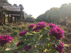 -幕燕滨江·长江观音景区