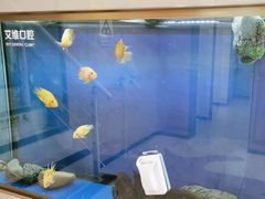 -艾维口腔(春江花月门诊部)