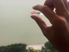 -必胜客(海滨店)