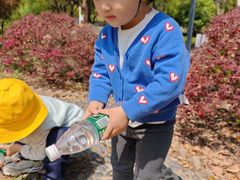 -豆初托育园 Baby Bean Day care Center