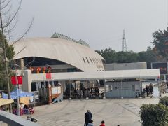 -自贡恐龙博物馆