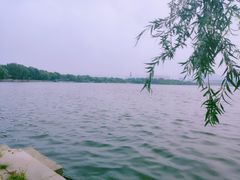 -济南国际园博园