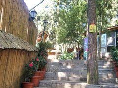 -云涛森林温泉