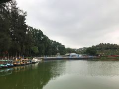 -松山湖梦幻百花洲