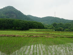 -八卦田遗址公园