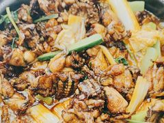 -众悦夜郎蛙美食餐厅(太原南街店)