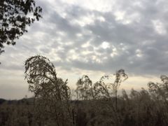 -良渚文化村