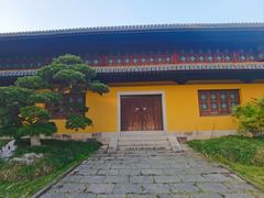 -江心屿景区