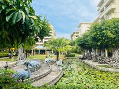 -三亚亚龙湾天域度假酒店