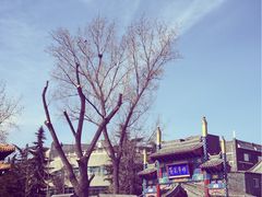 -EATALIA意塔利意式餐厅(鼓楼店)